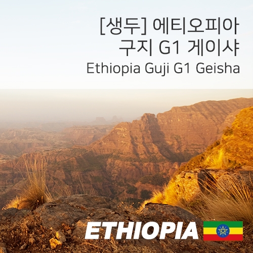 [생두]에티오피아 구지 G1 게이샤 1kg
