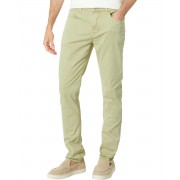 Hudson Jeans Ace Skinny in Alfalfa Sprout 9907913_656412