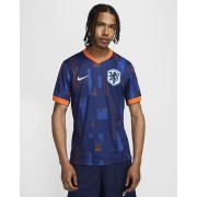 Netherlands (Mens Team) 2024/25 Stadium Away Mens Nike Dri-FIT Soccer Replica Jersey FJ1260-492