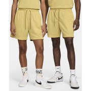 Nike SB Skate Basketball Shorts FN2593-700