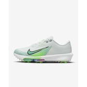 Nike Air Zoom Infinity Tour 2 Golf Shoes (Wide) FD0218-300