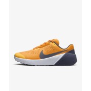 Nike Air Zoom TR 1 Mens Workout Shoes DX9016-706